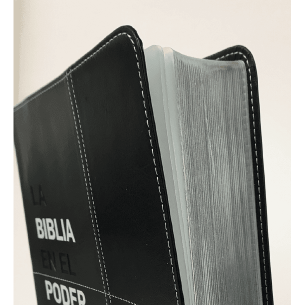 Biblia NVI Edición En el Poder del Espíritu - Negro/Gris 2