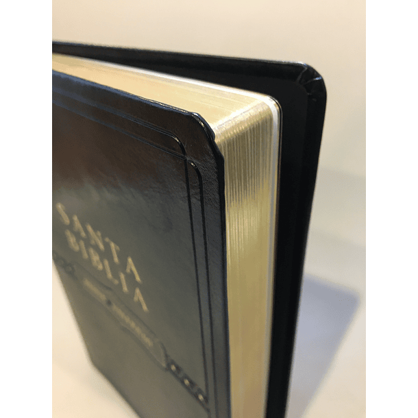 Biblia RV60 Ultrafina Cuero negro Italiano 2
