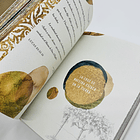 Creados para florecer - Beth Moore 3