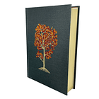 Biblia NTV de estudio del diario vivir (Tapa Dura Gris) 2