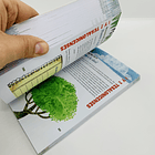 Busca y Explora, Devocionales para Niños 3