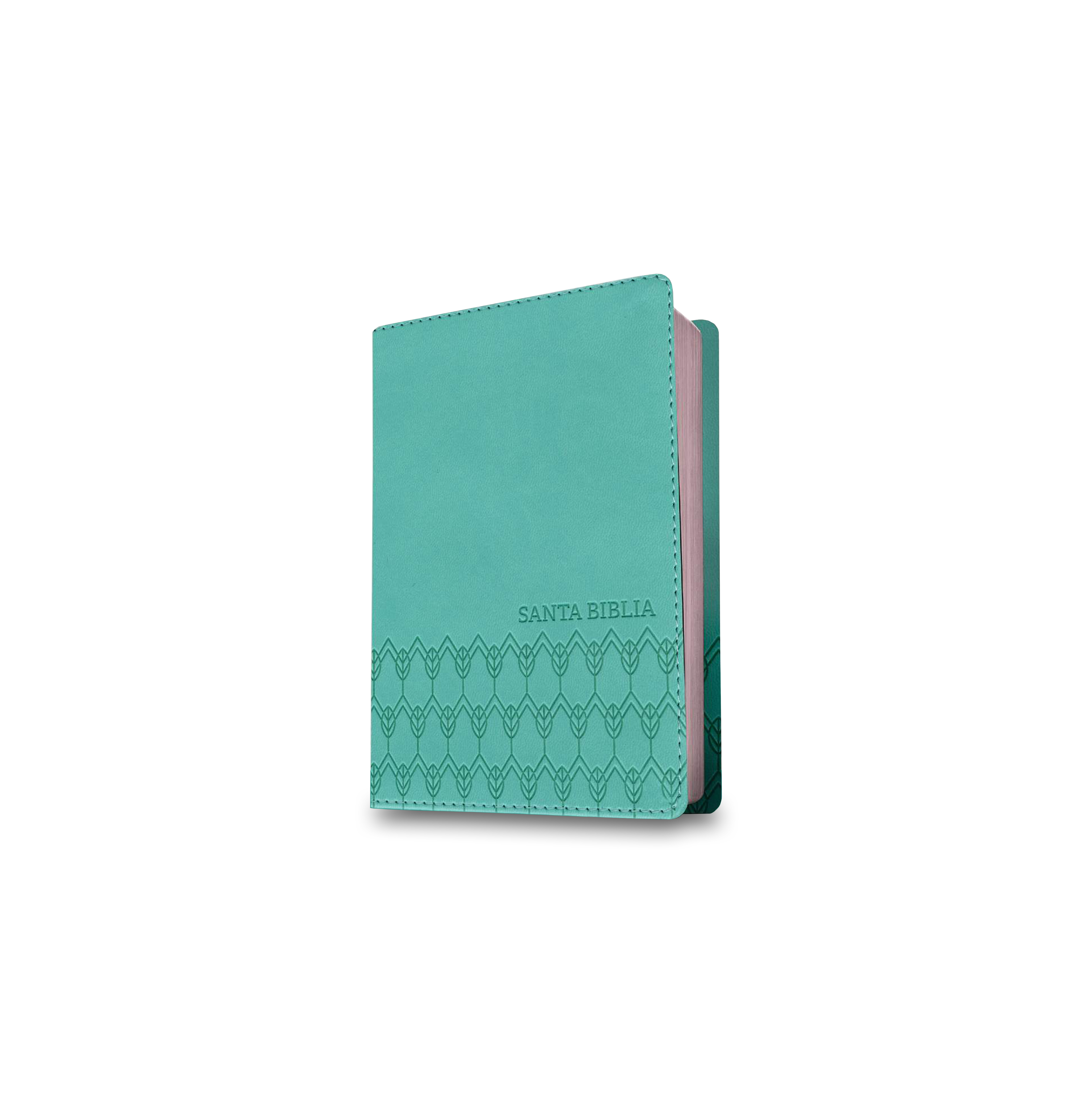 Biblia NTV, Edición compacta (Menta)