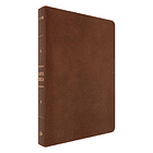 Biblia NVI Letra Gigante (Piel Marrón) 1