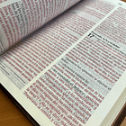 Biblia NVI Letra Gigante (Piel Marrón) 2