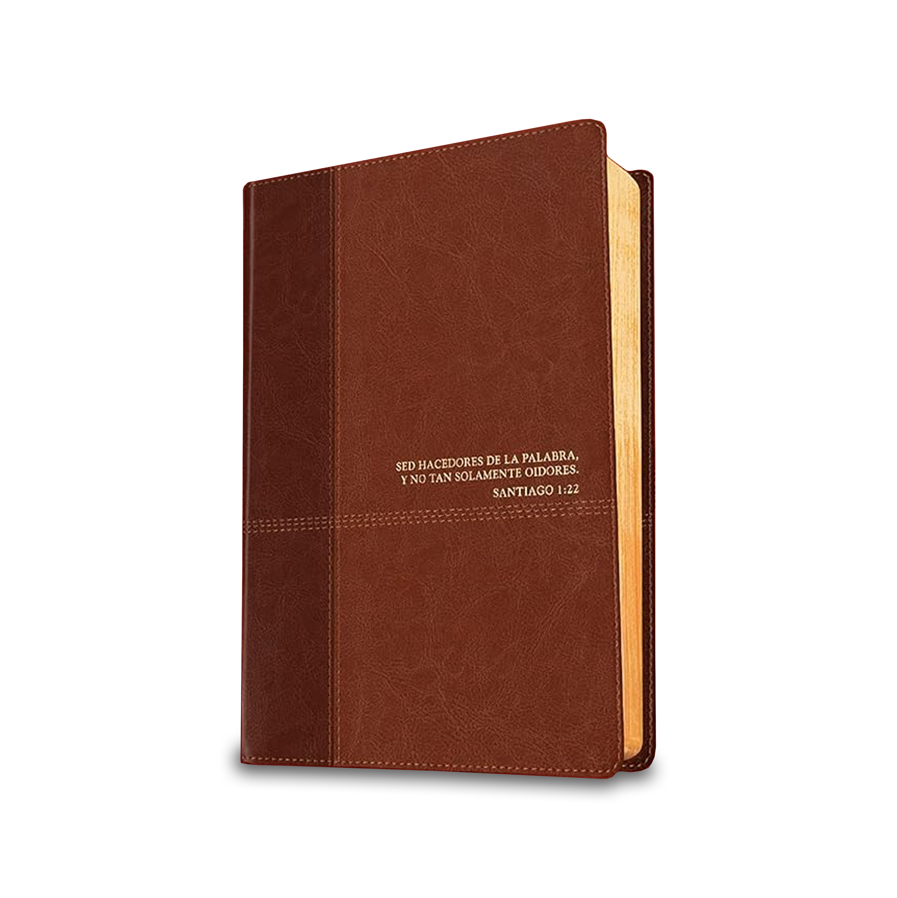 Biblia RVR60 de estudio del diario vivir (SentiPiel Café/Café claro)