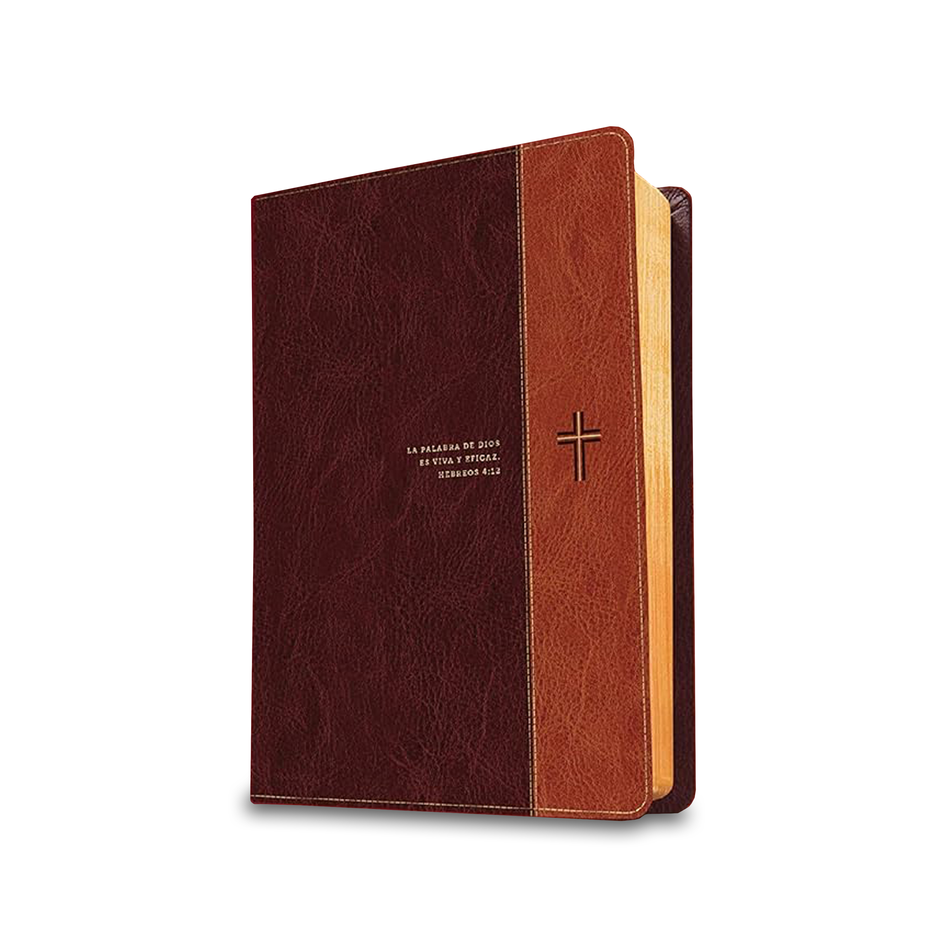 Biblia de estudio del diario vivir RVR60 (SentiPiel, Negro/Ónice