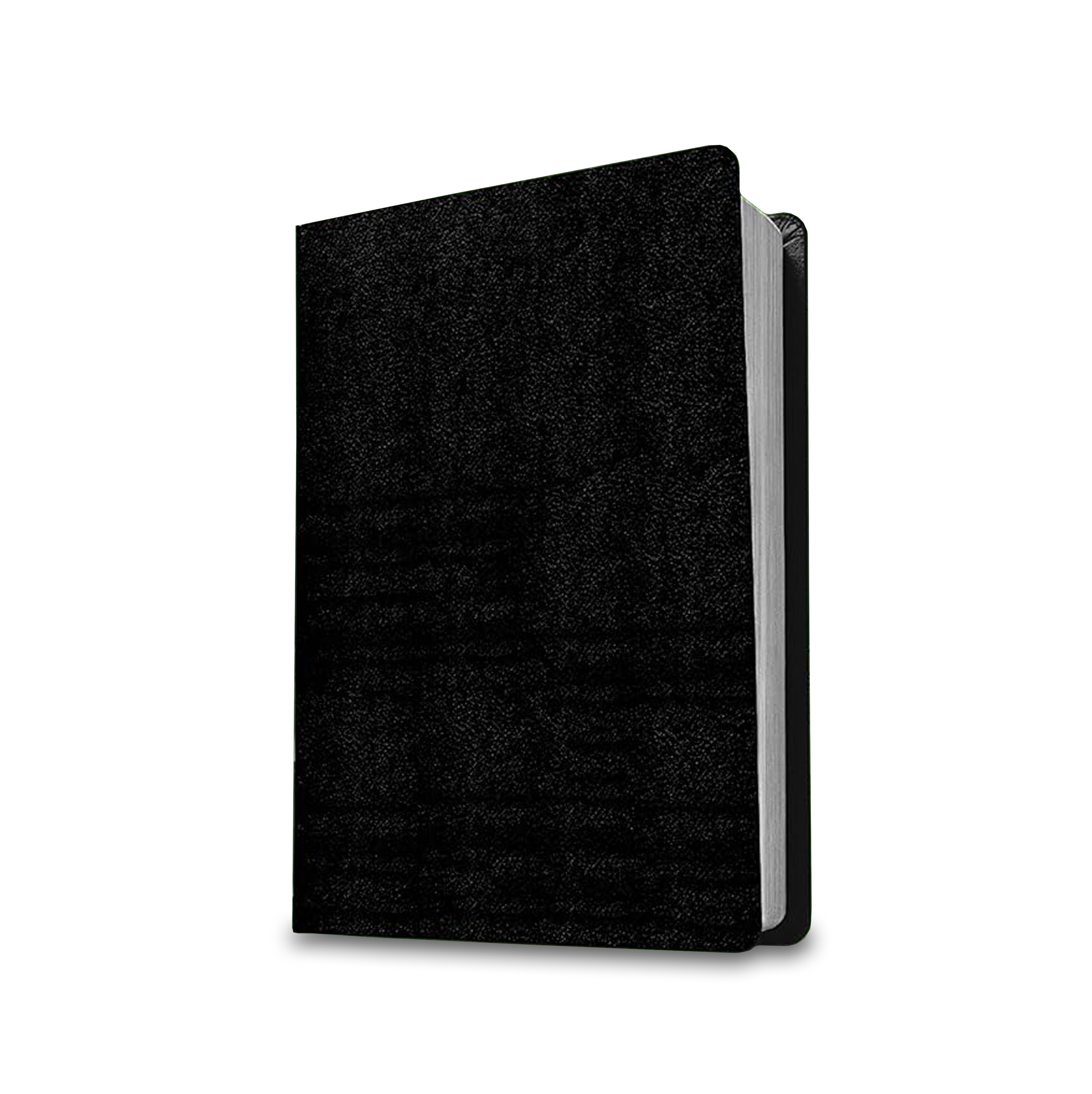 Biblia NTV de estudio del diario vivir (Piel Fabricada Negro)