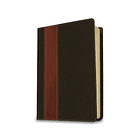 Biblia NTV de estudio del diario vivir con índice lateral (Cuero Marrón y Beige) 1