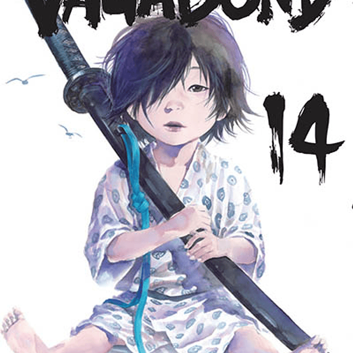 Vagabond 14 1
