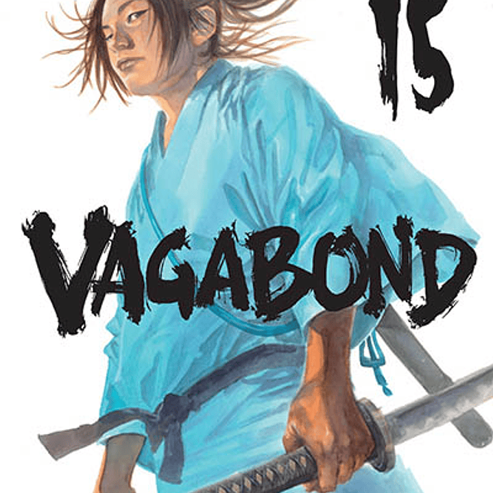 Vagabond 15 1
