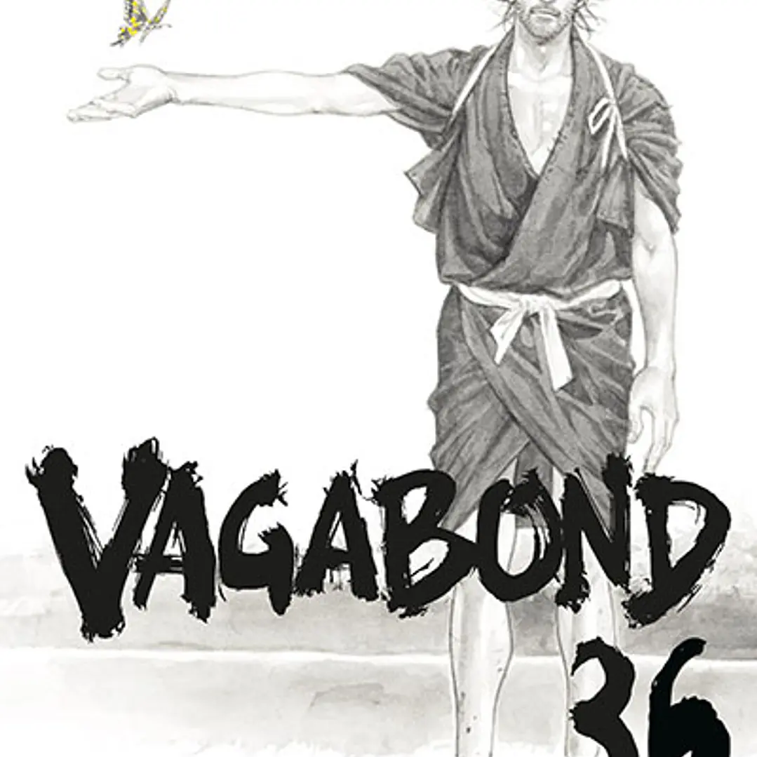 Vagabond 36 1