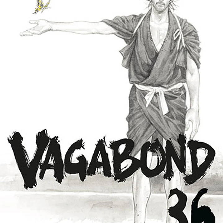 Vagabond 36 1