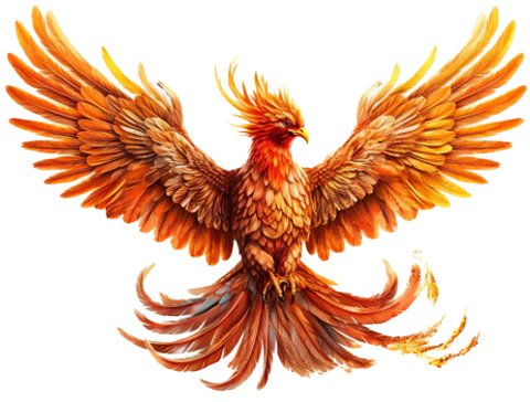 CAZOLETA FENIX FENG