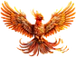 CAZOLETA FENIX FENG - thumbnail 2