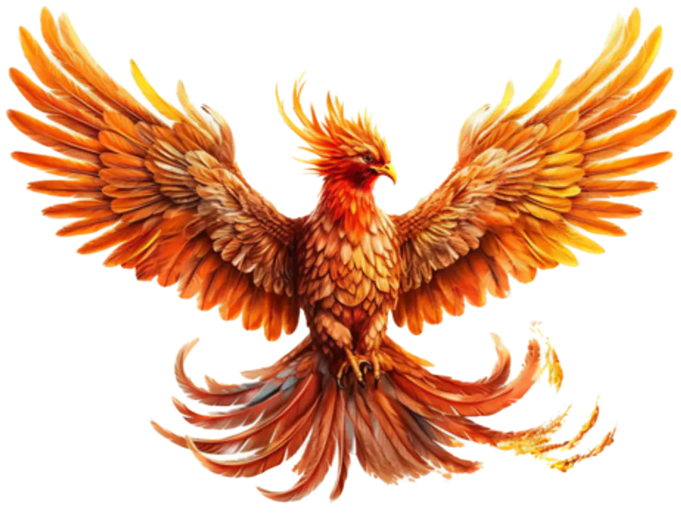 CAZOLETA FENIX FENG 2