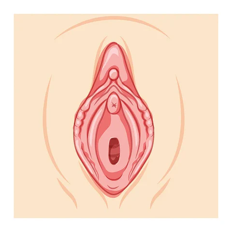 BOQUILLA 3D VAGINA