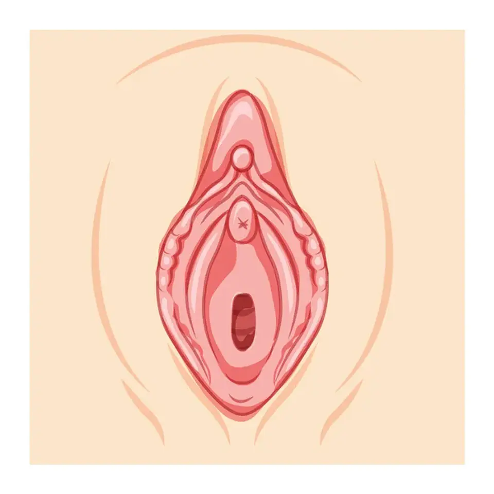 BOQUILLA 3D VAGINA 2
