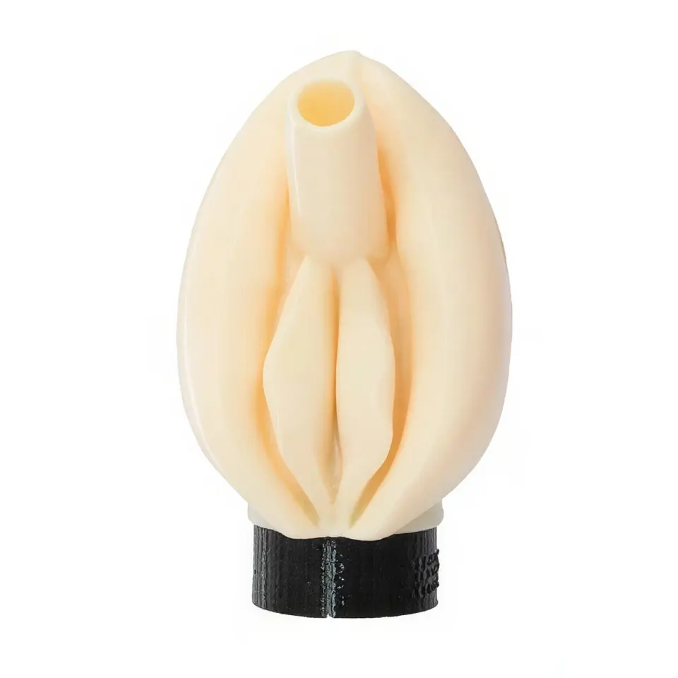 BOQUILLA 3D VAGINA 1