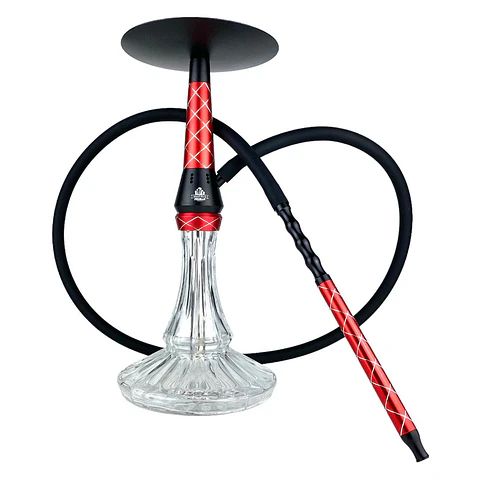 SHISHA ERASMUS HERCULES