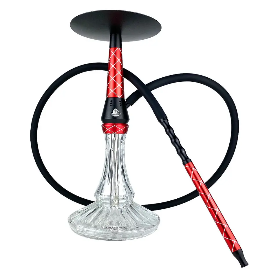 SHISHA ERASMUS HERCULES 1
