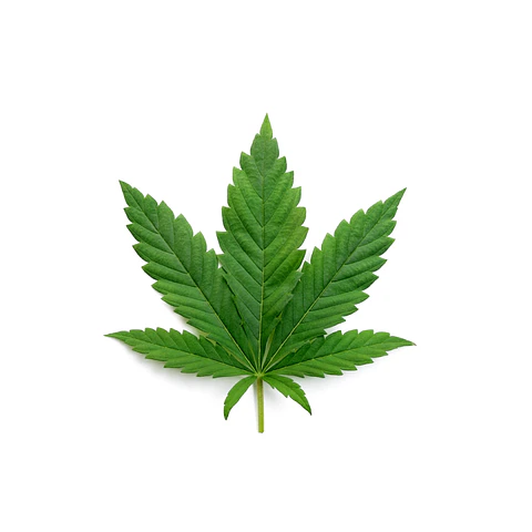 BOQUILLA 3D MARIHUANA