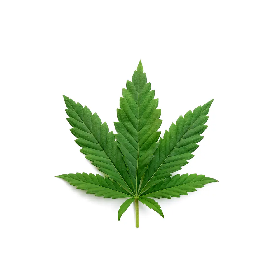 BOQUILLA 3D MARIHUANA 2