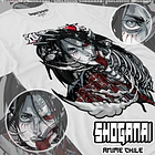 SNK08 Eren - SHINGEKI NO KYOJIN - ADULTO 2