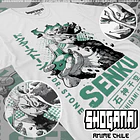 DRS08 Senku Ishigami - DR. STONE - INFANTIL (Polera o Polerón) 2