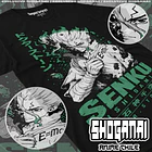 DRS11 Senku Ishigami - DR. STONE - ADULTO (Polera o Polerón) 1