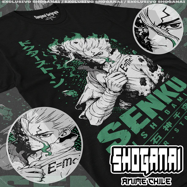 DRS11 Senku Ishigami - DR. STONE - ADULTO (Polera o Polerón) 1