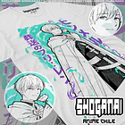 FR17 Himmel - FRIEREN - ADULTO (Polera o Polerón) 2