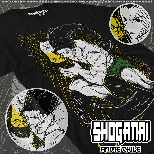 HXH30 Gon Freecss - HUNTER X HUNTER - ADULTO (Polera o Polerón) 1