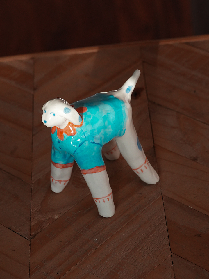 Perrito con camisa 4