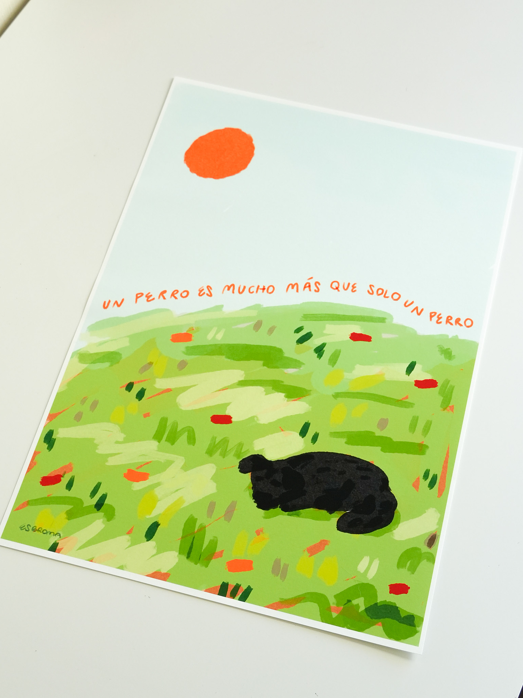 Un perro es mucho más que un perro 9