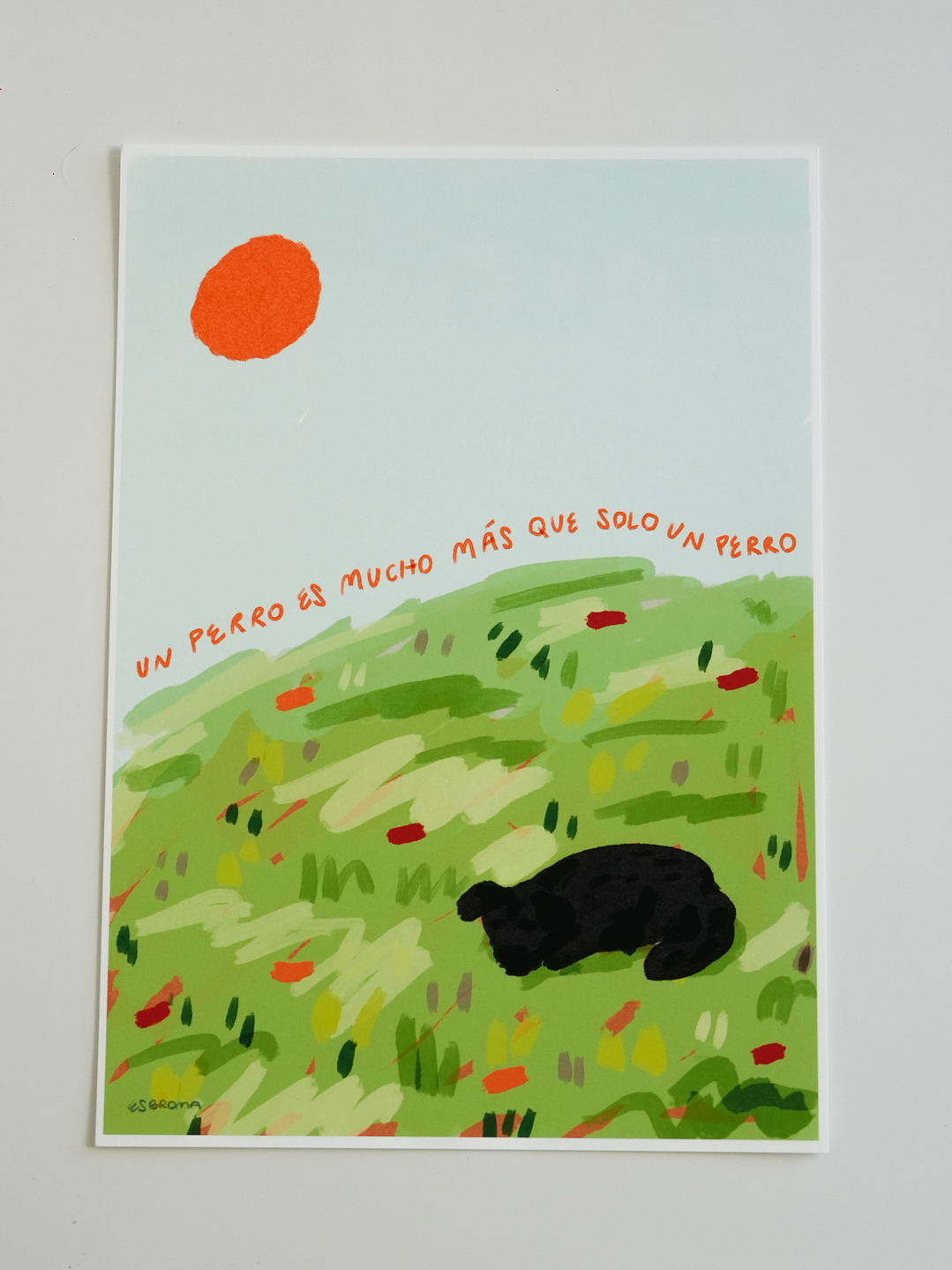 Un perro es mucho más que un perro 14