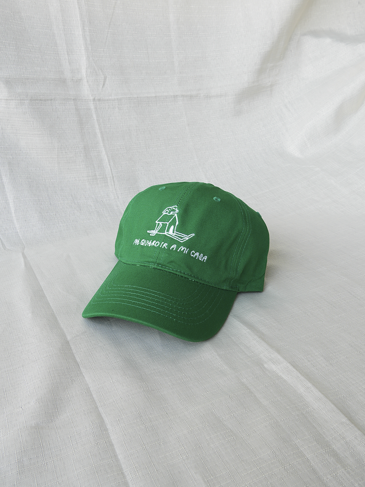Dad Hat - Me quiero ir a mi casa :) 13