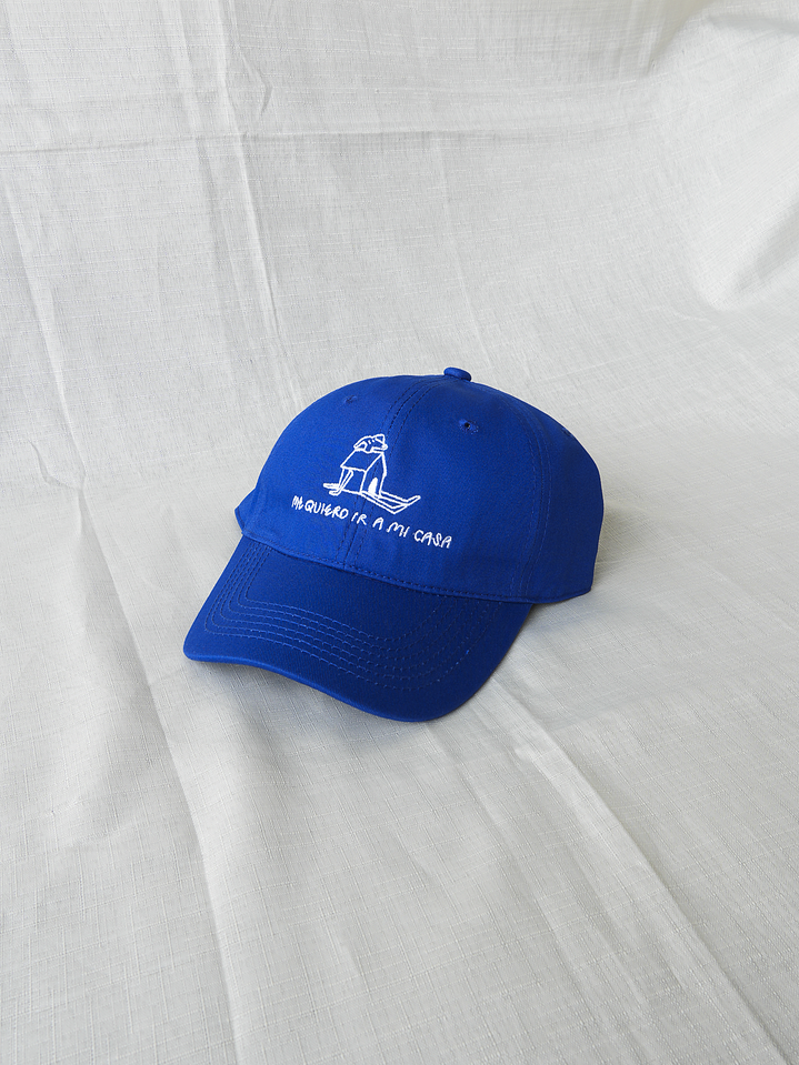 Dad Hat - Me quiero ir a mi casa :) 4