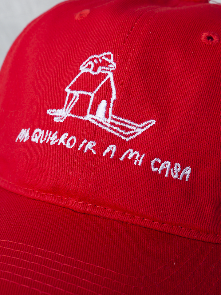 Dad Hat - Me quiero ir a mi casa :) 11