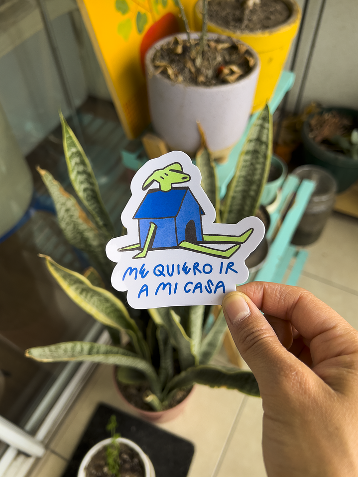 Me quiero ir a mi casa 1