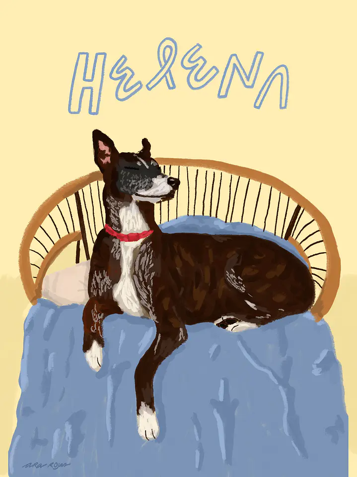 Ilustración personalizada de perrito 1