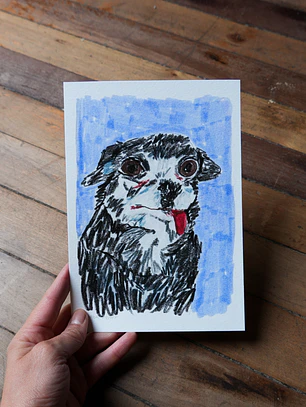 Chihuahua