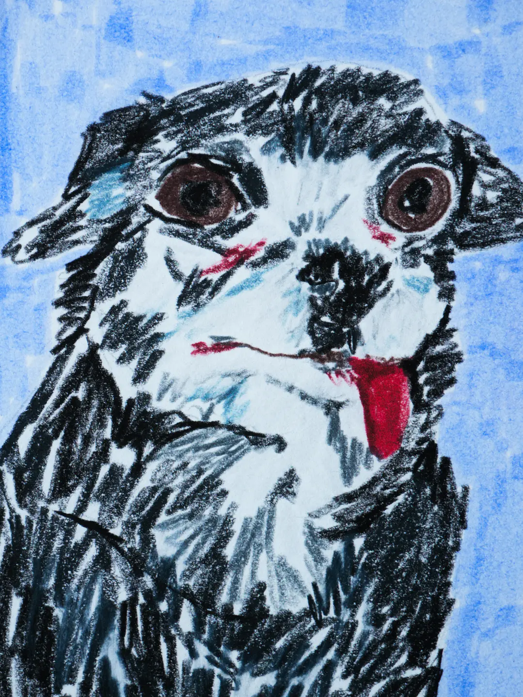 Chihuahua 3