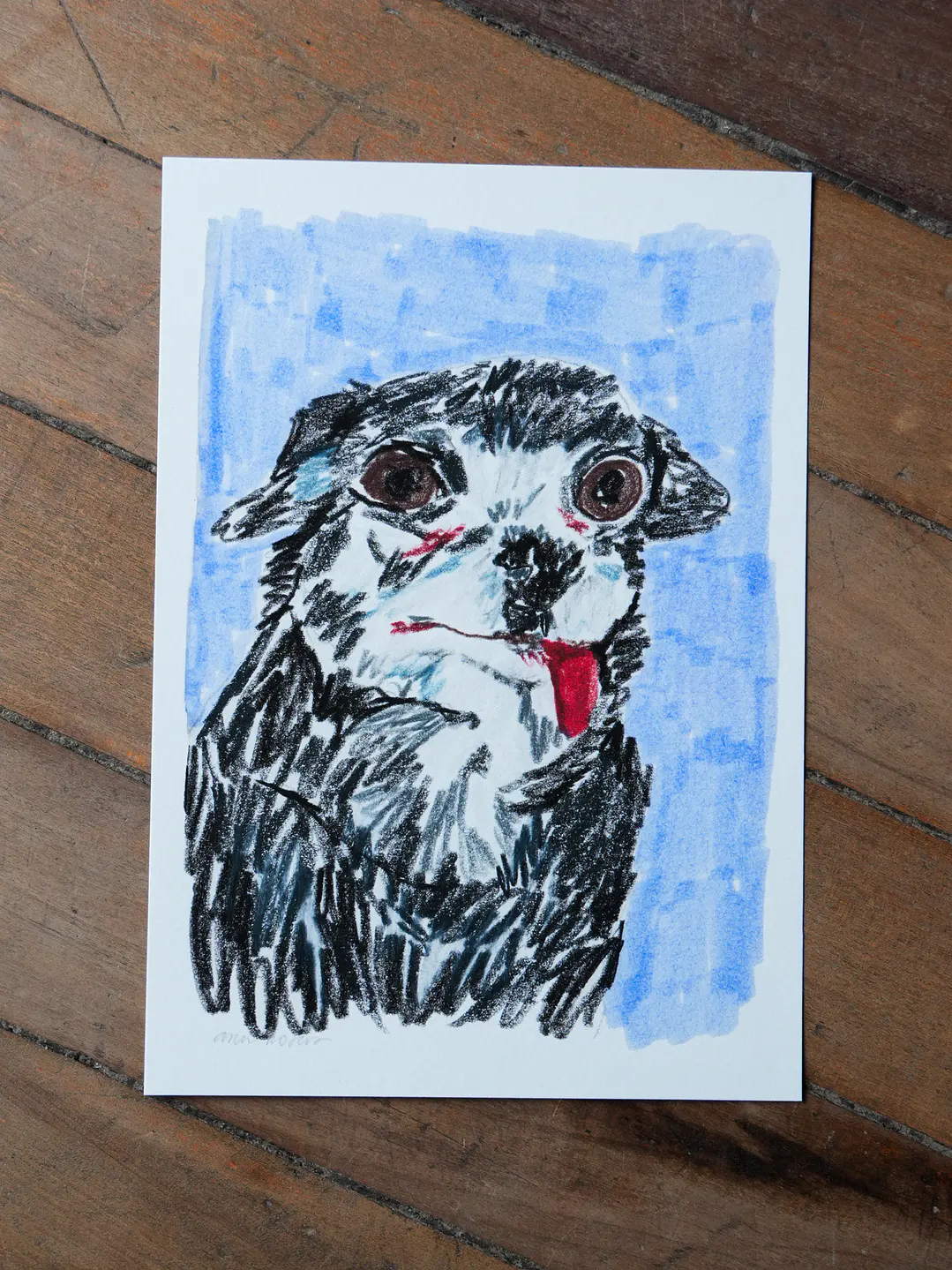 Chihuahua 4