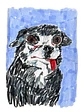 Chihuahua - Miniatura 1