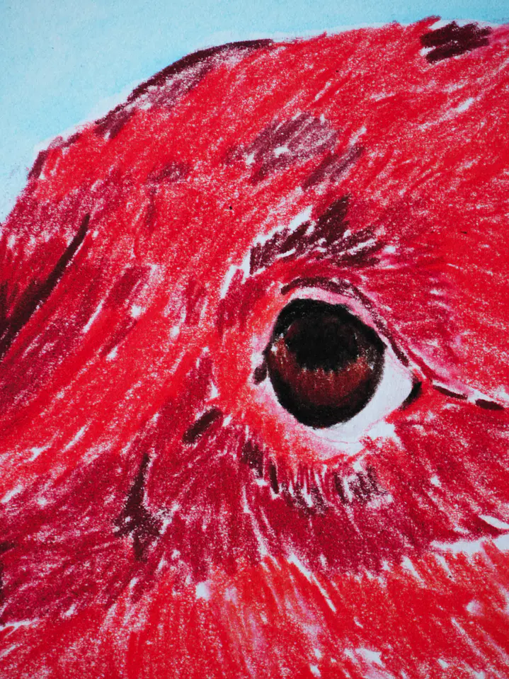 Mirada 3