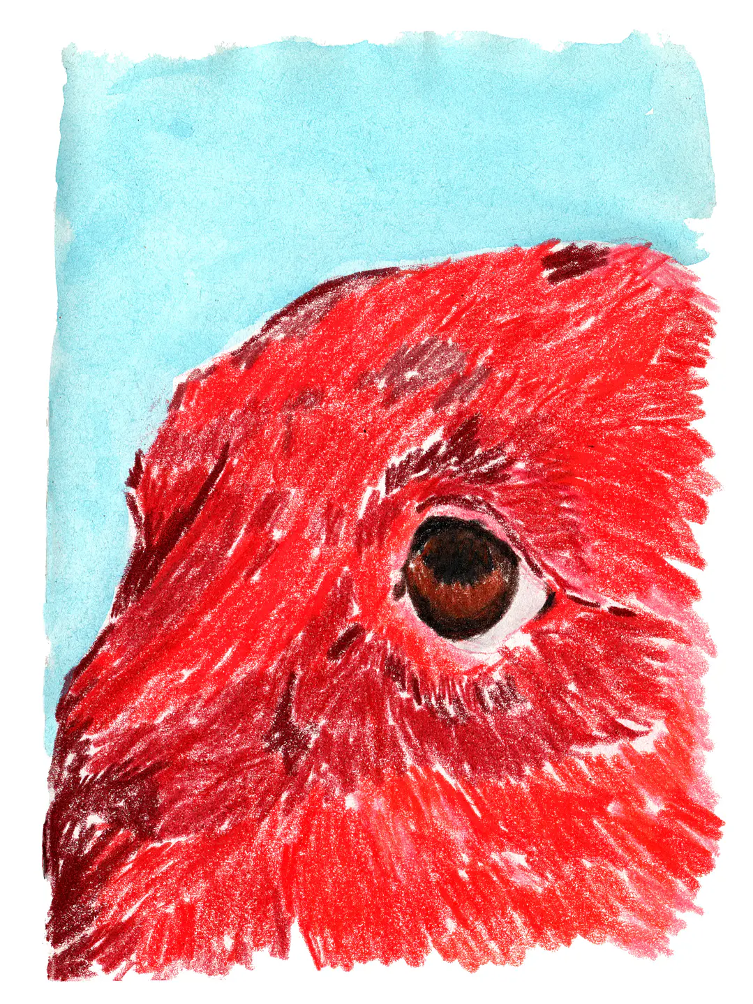 Mirada 1