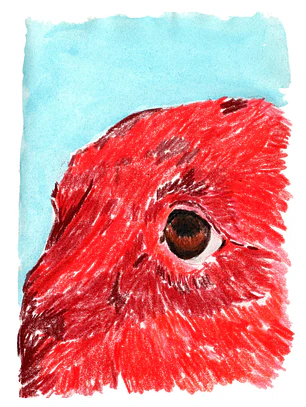 Mirada