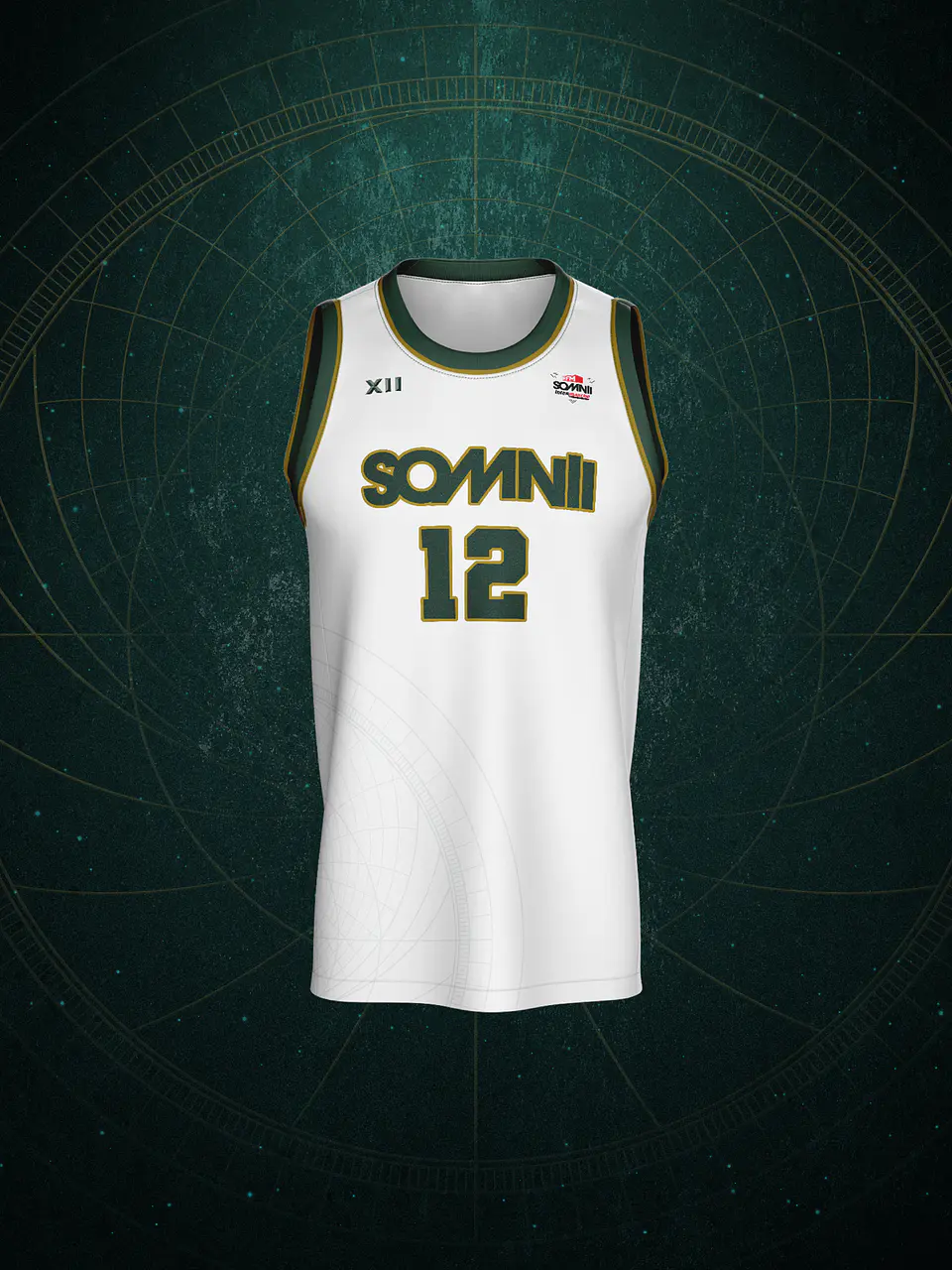 JERSEY XII 2