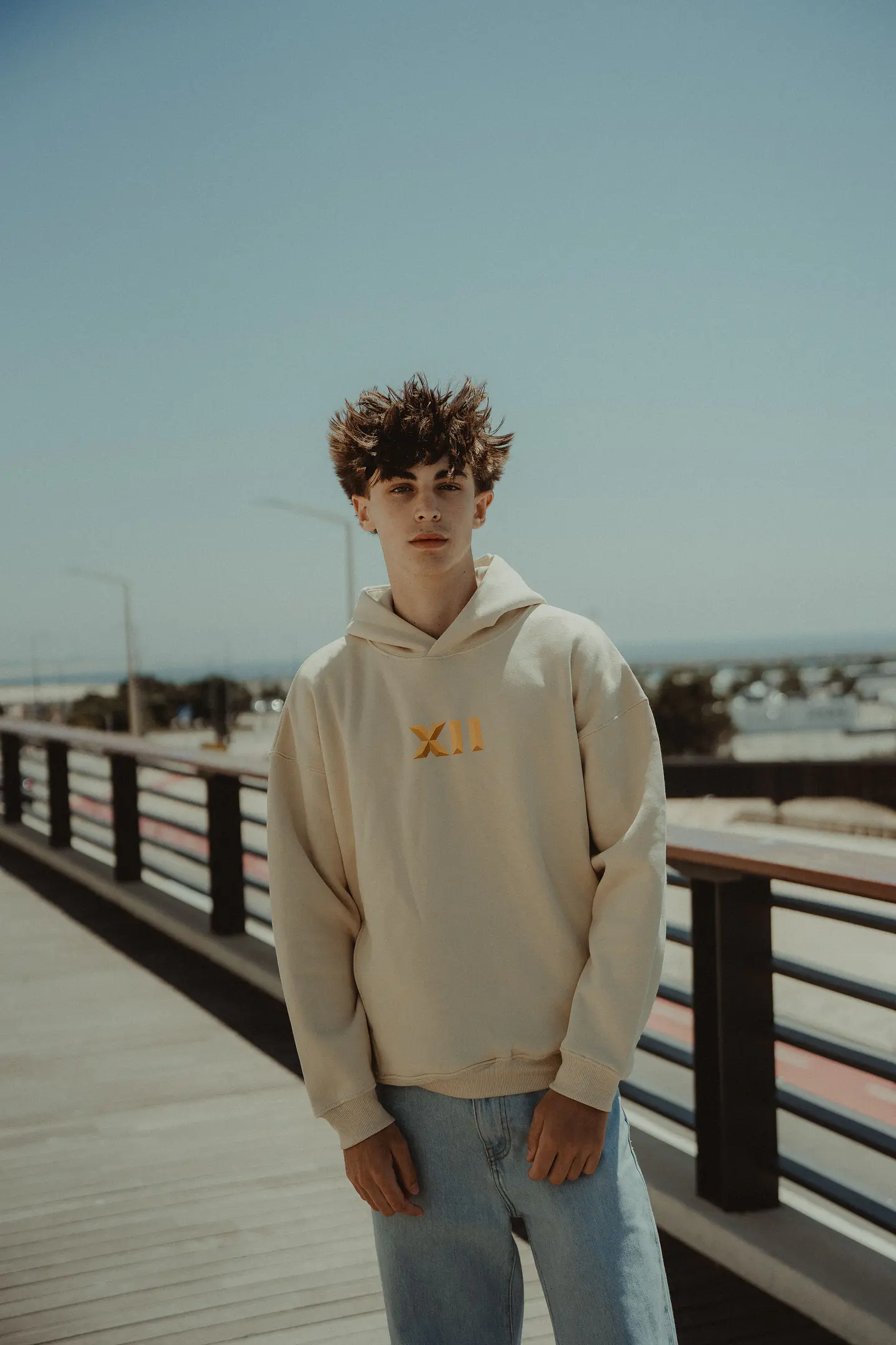HOODIE INFLUENCE XII 3