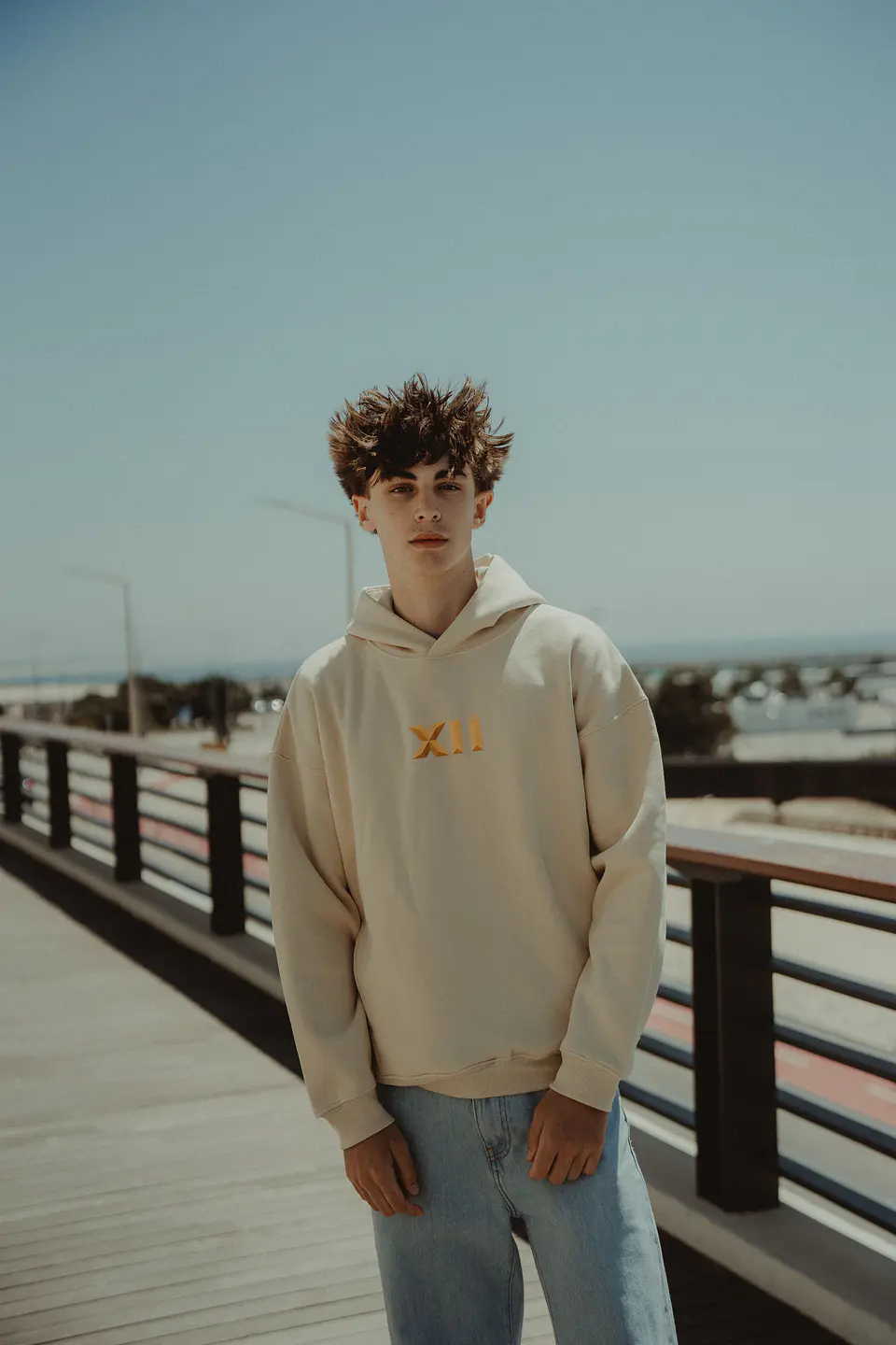 HOODIE INFLUENCE XII 3